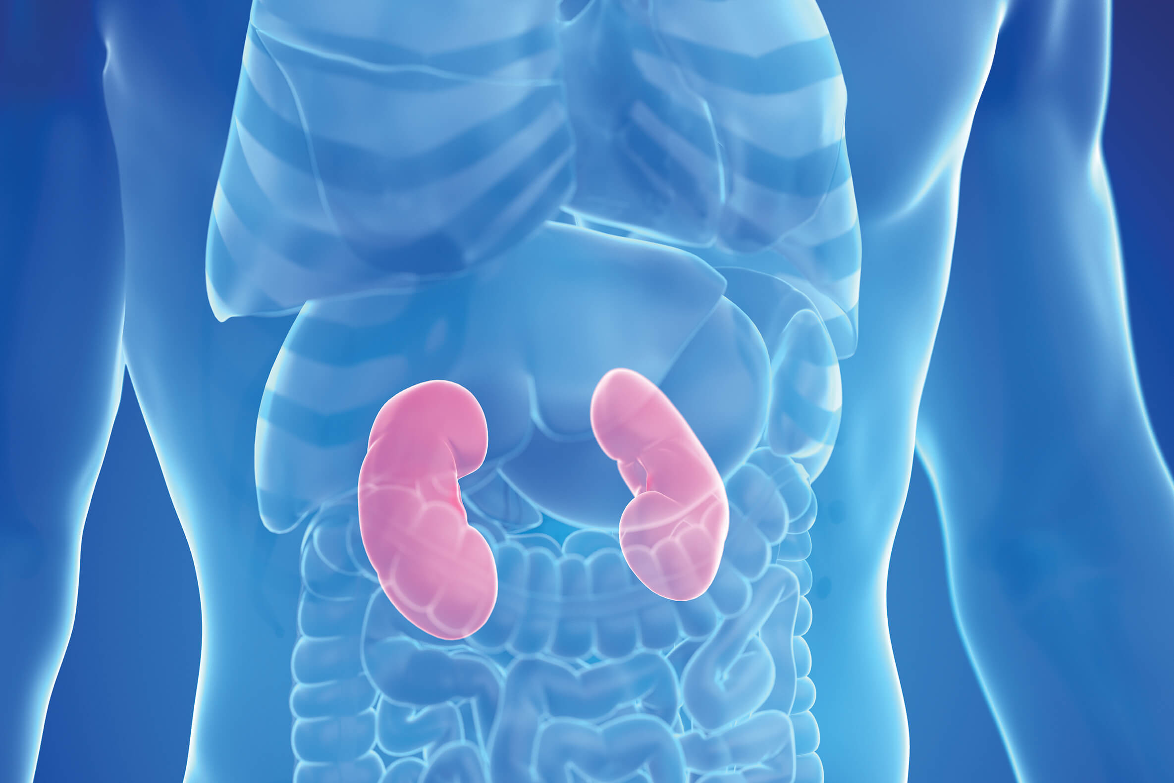 10-kidney-danger-signs-you-should-never-ignore-4-could-save-your-life